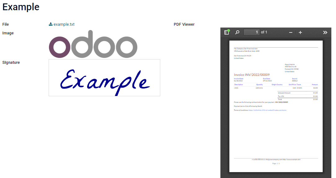 Esempi di campi File con vari widget