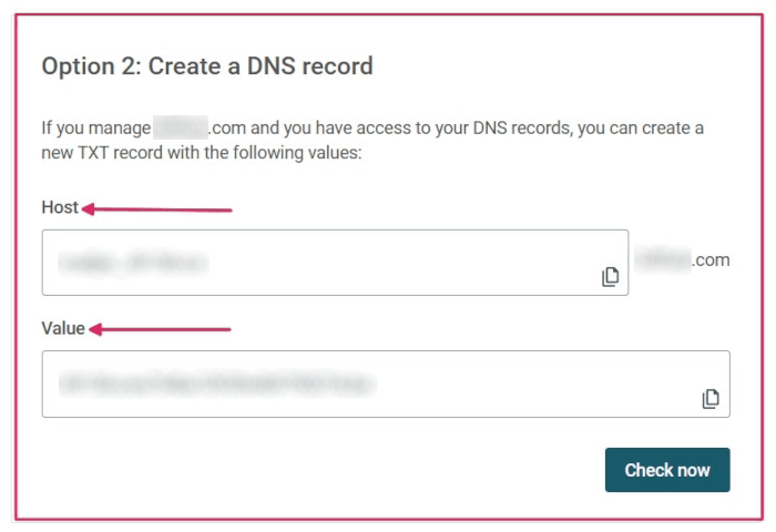 Le informazioni del record TXT da inserire nel DNS del dominio.